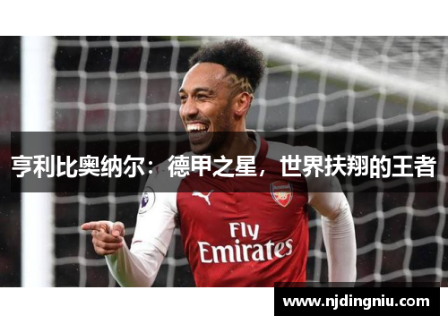 亨利比奥纳尔：德甲之星，世界扶翔的王者