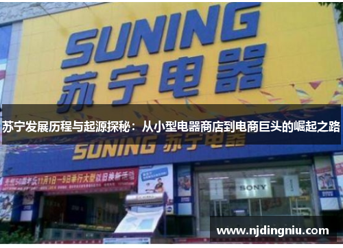 苏宁发展历程与起源探秘：从小型电器商店到电商巨头的崛起之路